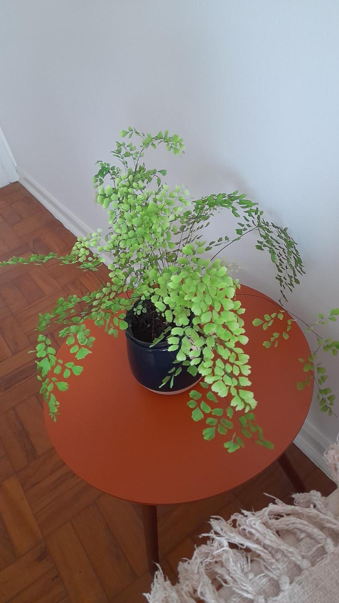 Quarto, Bairro Bela Vista, Proximo A Avenida Paulista Homestay *